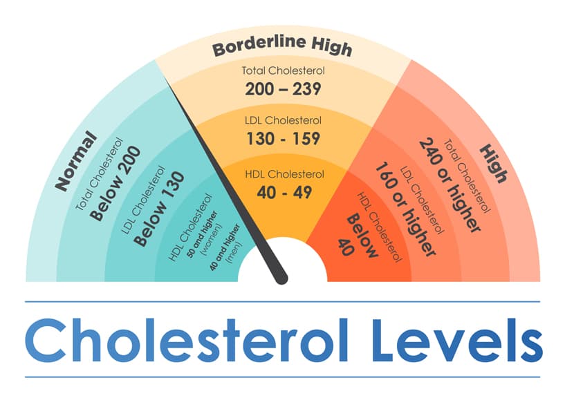 Cholesterol_Infographics_817w_FINAL