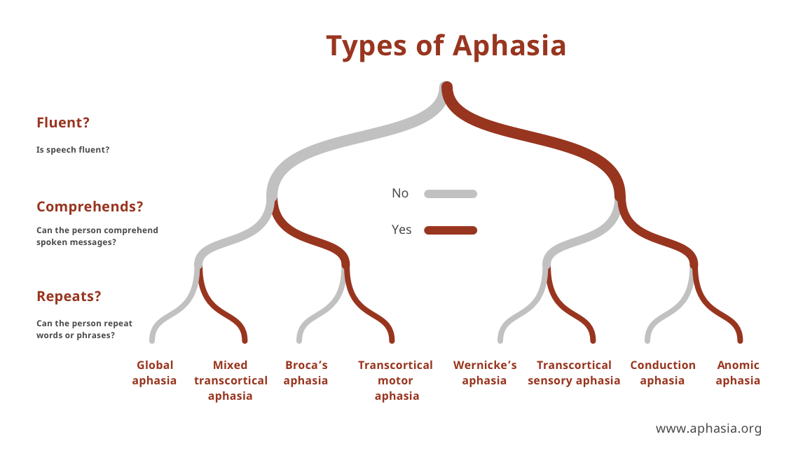 types_of_aphasia_revised